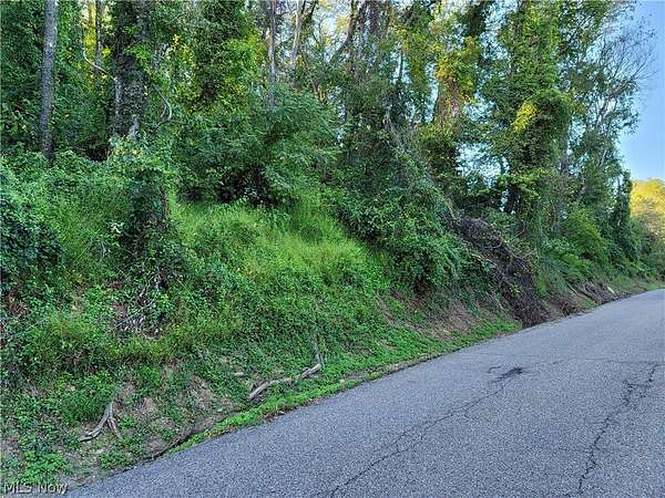 0.37 Acres of Residential Land for Sale in Rayland, Ohio