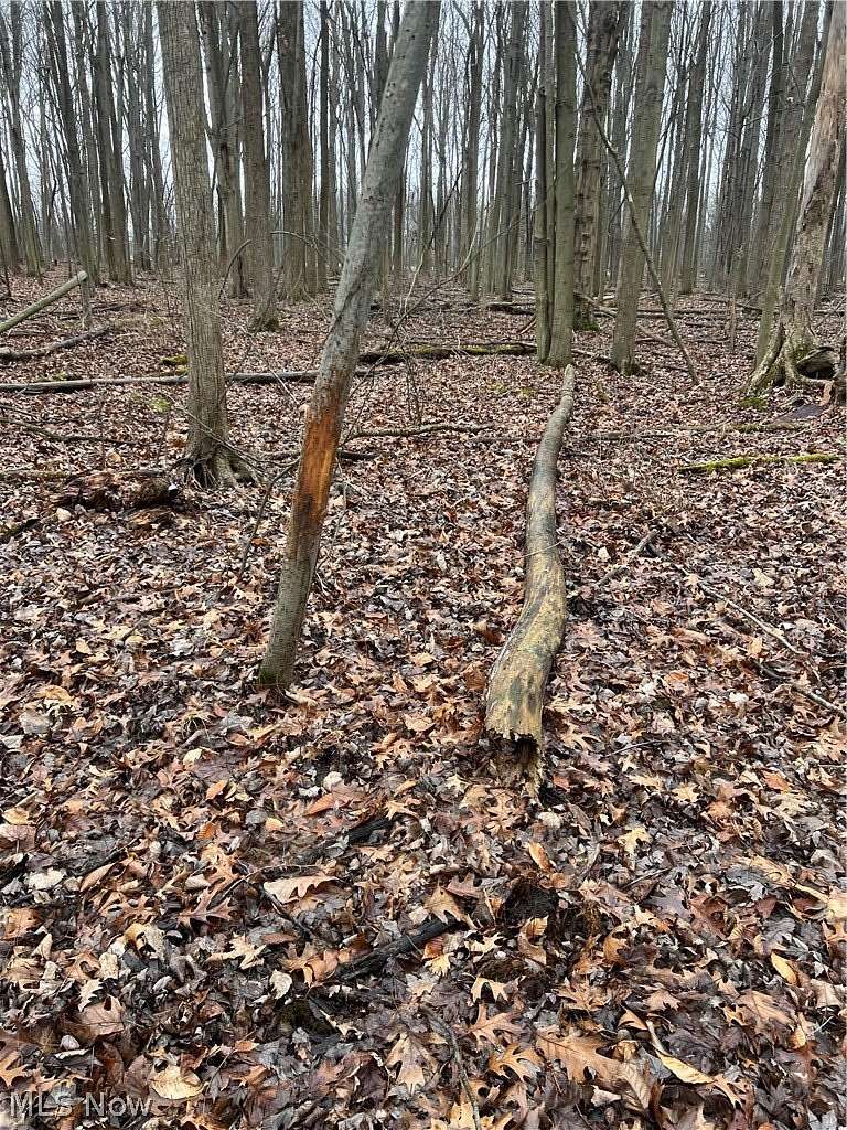 48.2 Acres of Recreational & Residential Land for Sale in Elyria, Ohio