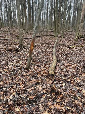 48.2 Acres of Recreational & Residential Land for Sale in Elyria, Ohio