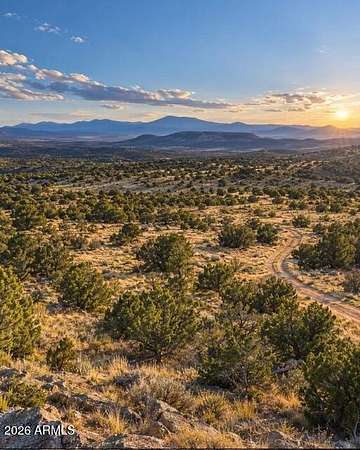 36.3 Acres of Recreational Land for Sale in Seligman, Arizona