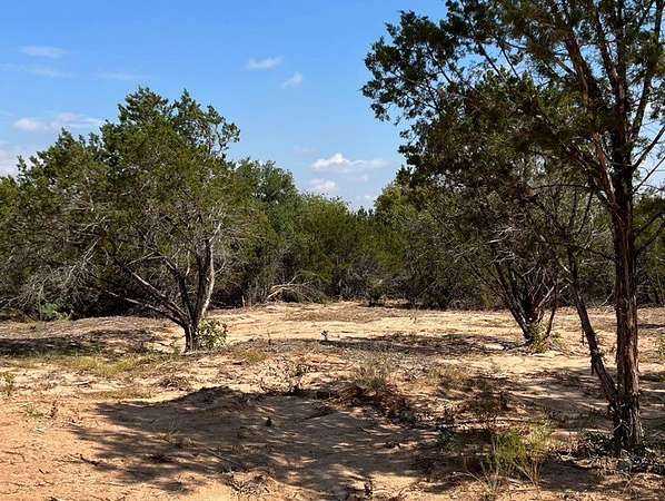 1 Acre of Land for Sale in Nemo, Texas