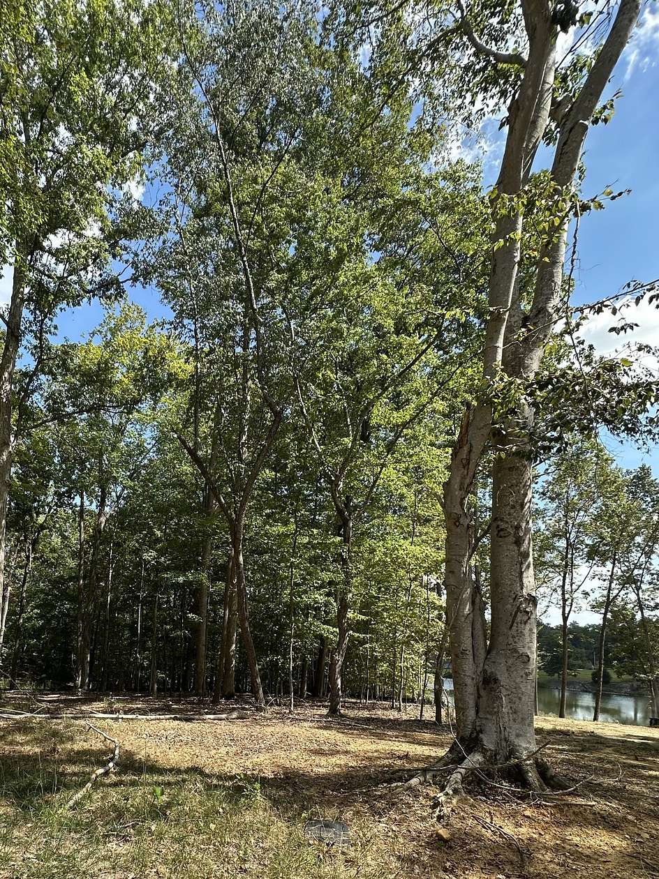 0.64 Acres of Residential Land for Sale in Tullahoma, Tennessee
