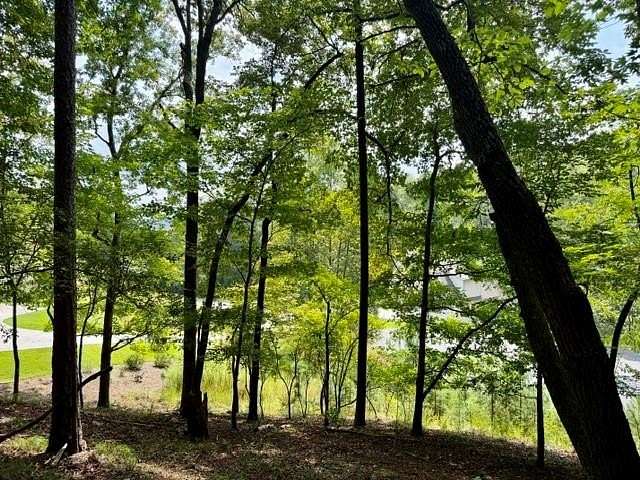 Residential Land for Sale in Dahlonega, Georgia