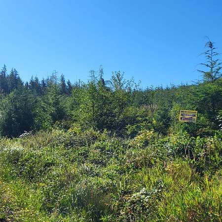 9.77 Acres of Land for Sale in Naselle, Washington