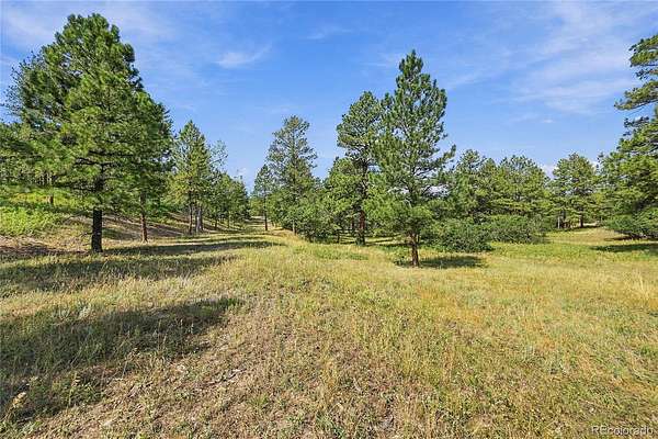 21 Acres of Land for Sale in Larkspur, Colorado
