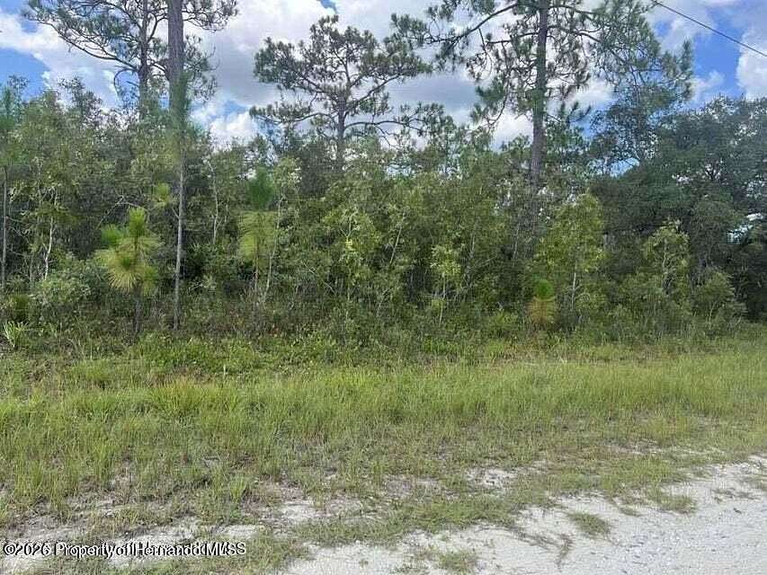 1.2 Acres of Residential Land for Sale in Weeki Wachee, Florida
