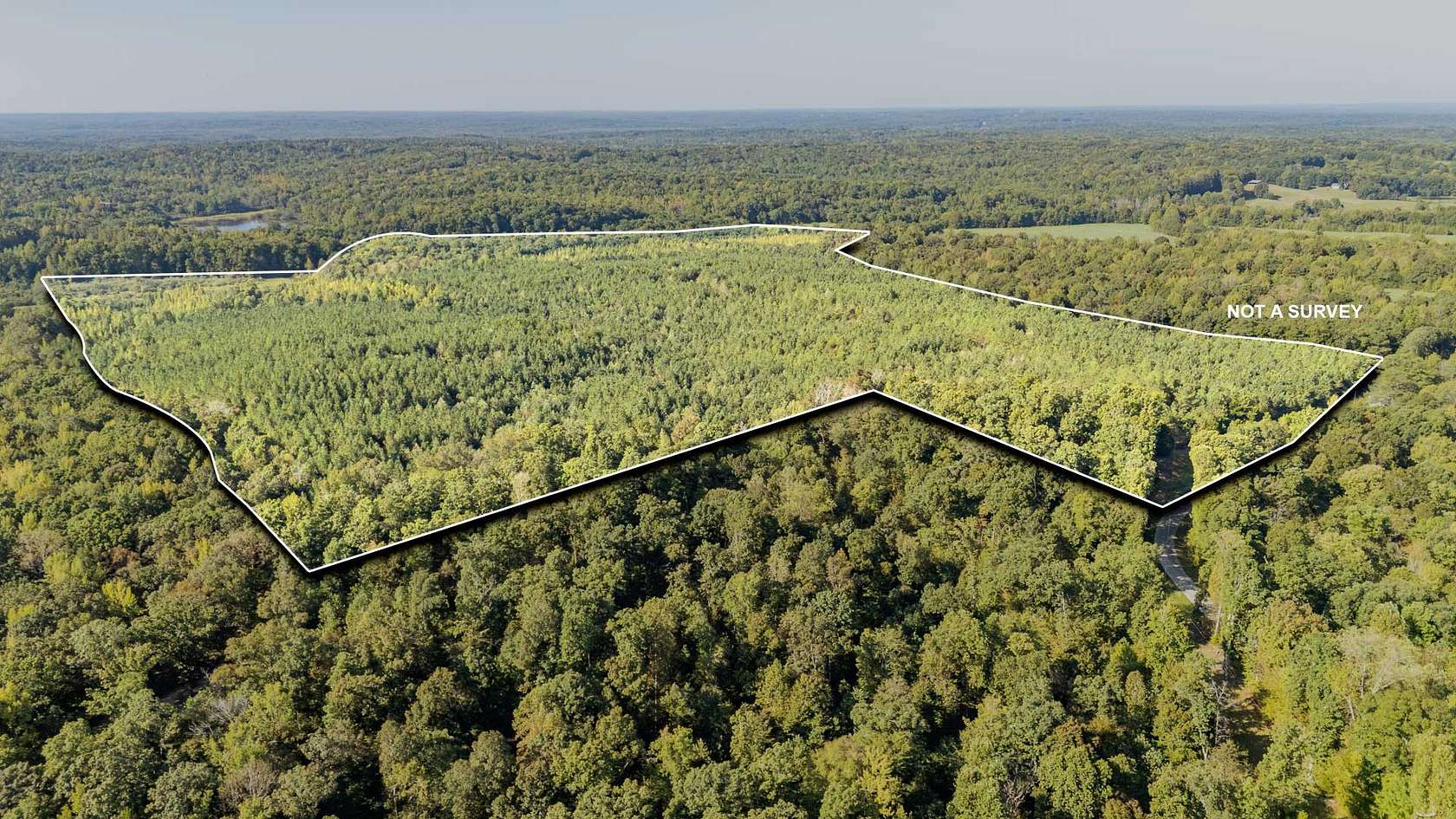 120 Acres of Recreational & Residential Land for Sale in Cedar Grove, Tennessee