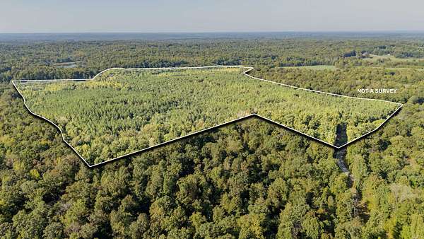 120 Acres of Recreational & Residential Land for Sale in Cedar Grove, Tennessee