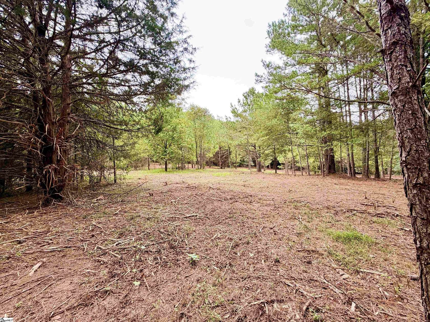 22.7 Acres of Recreational & Residential Land for Sale in Anderson, South Carolina
