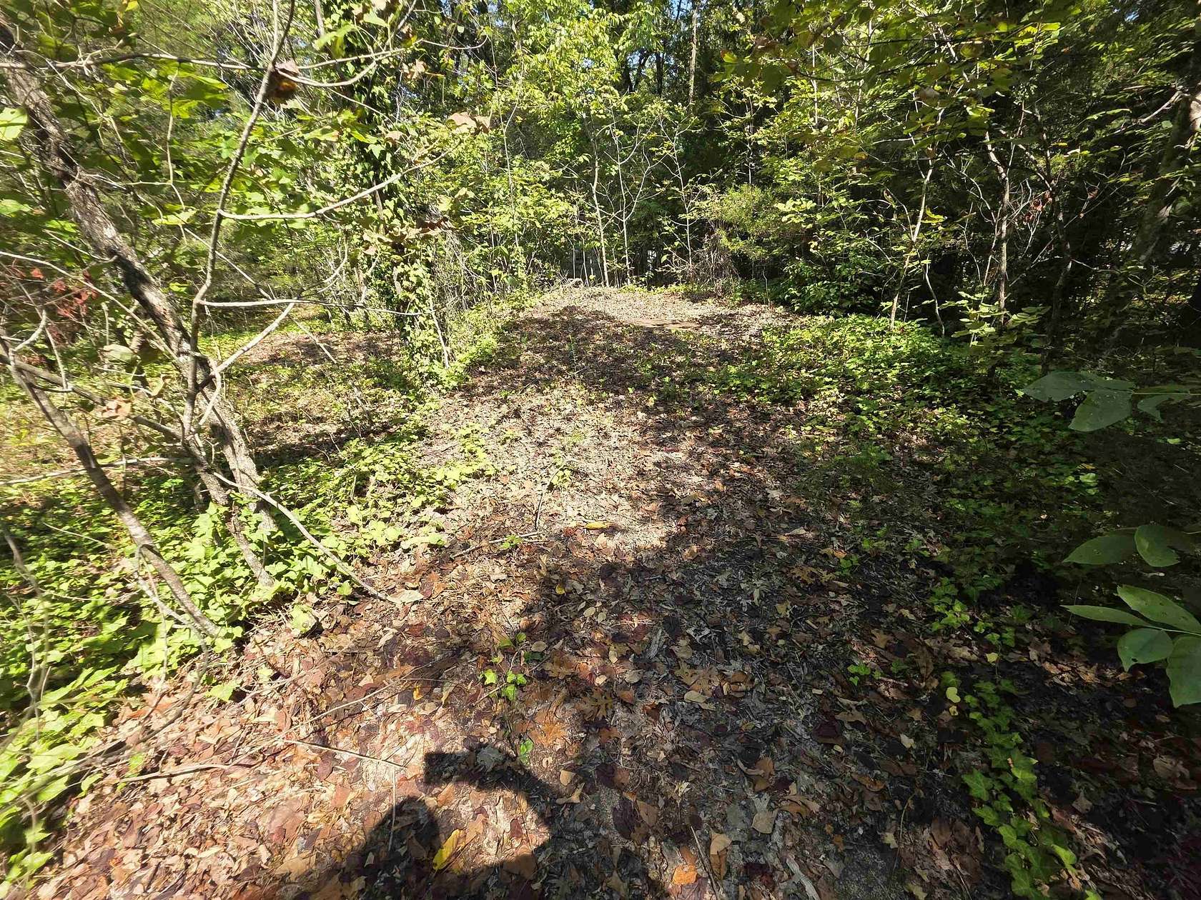 0.26 Acres of Residential Land for Sale in Ozark Acres, Arkansas