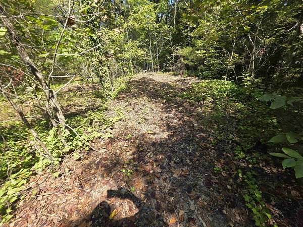 0.26 Acres of Residential Land for Sale in Ozark Acres, Arkansas