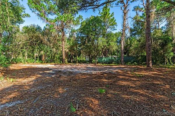 0.59 Acres of Land for Sale in Homosassa, Florida