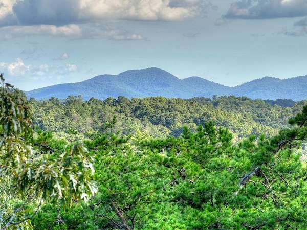 0.78 Acres of Residential Land for Sale in Mineral Bluff, Georgia