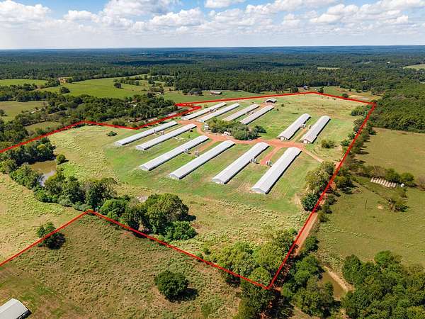 62 Acres of Agricultural Land for Sale in Cushing, Texas