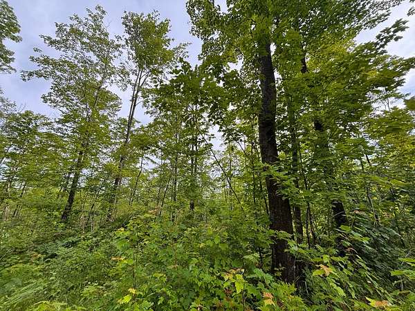 10 Acres of Residential Land for Sale in Chassell, Michigan
