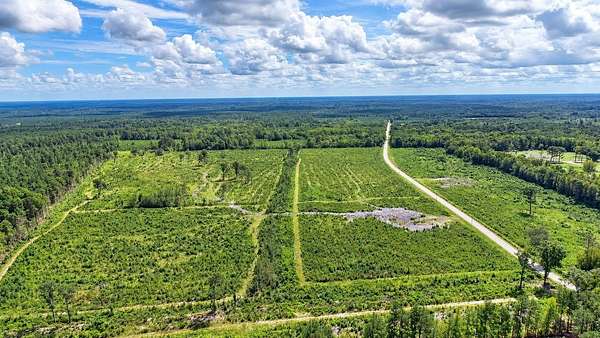 236 Acres of Recreational & Residential Land for Sale in Greeleyville, South Carolina