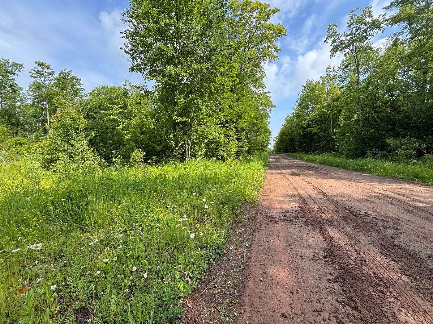 40 Acres of Land for Sale in Baraga Township, Michigan