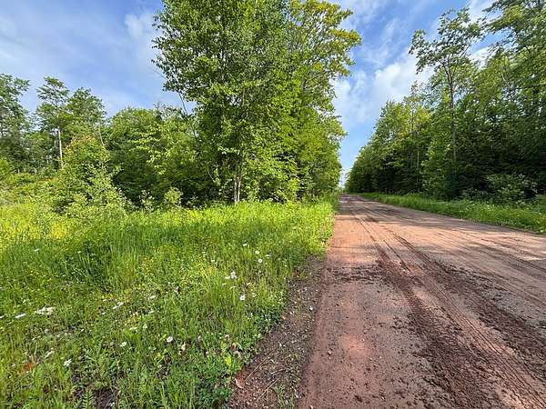 40 Acres of Land for Sale in Baraga Township, Michigan