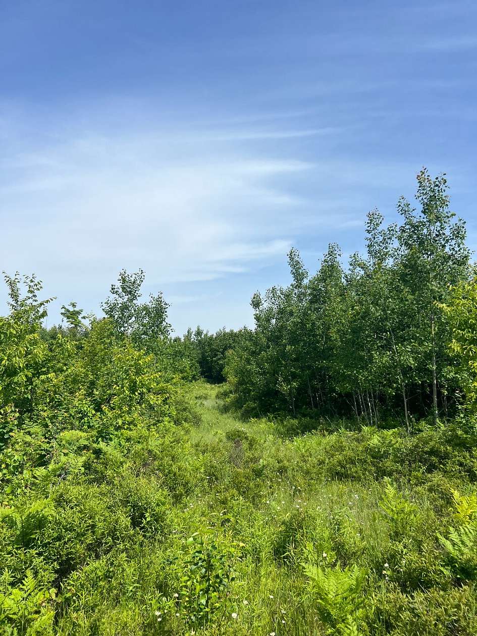 40 Acres of Recreational Land for Sale in Holmes Township, Michigan