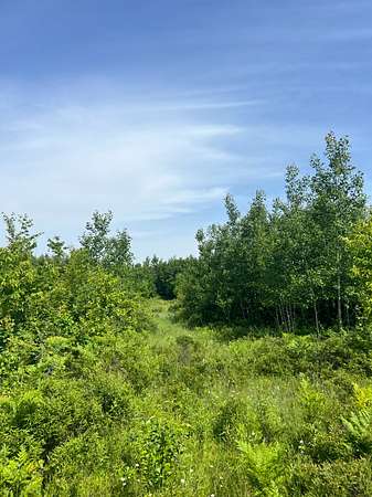 40 Acres of Recreational Land for Sale in Holmes Township, Michigan