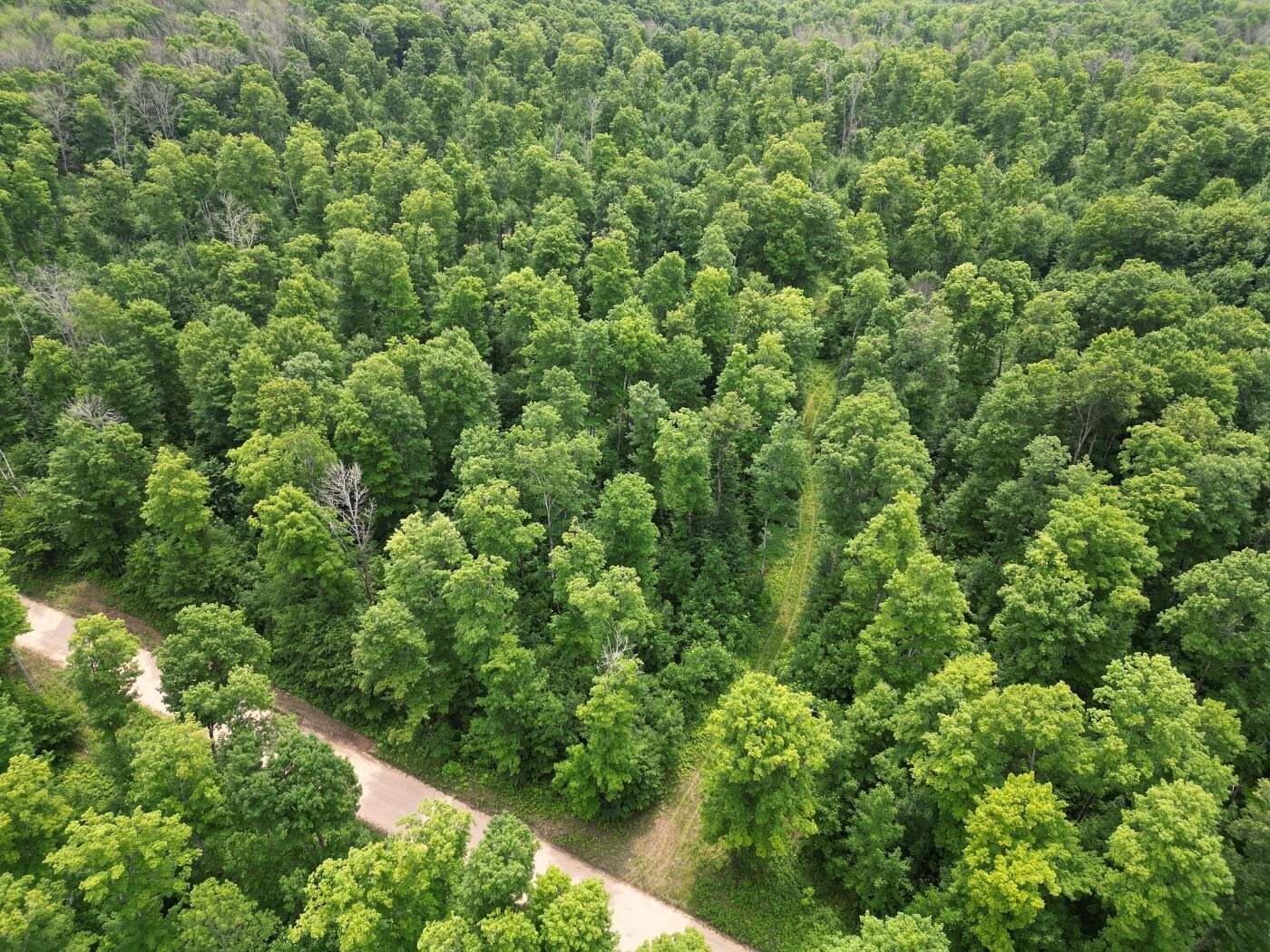 20 Acres of Recreational Land for Sale in Foster City, Michigan
