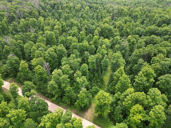 20 Acres of Recreational Land for Sale in Foster City, Michigan