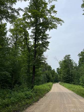 20 Acres of Recreational & Residential Land for Sale in Foster City, Michigan