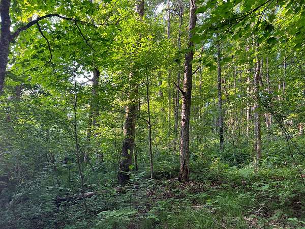 82.3 Acres of Land for Sale in Crystal Falls Township, Michigan