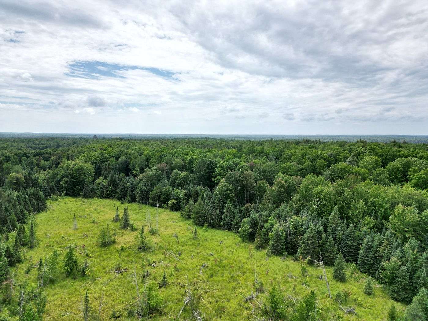 80 Acres of Recreational Land for Sale in Bates Township, Michigan