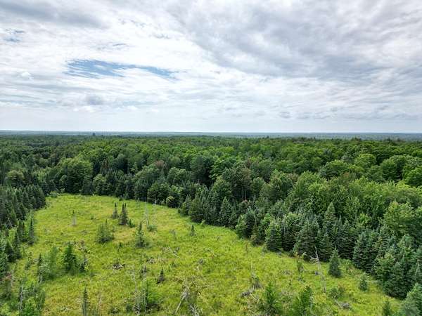 80 Acres of Recreational Land for Sale in Bates Township, Michigan