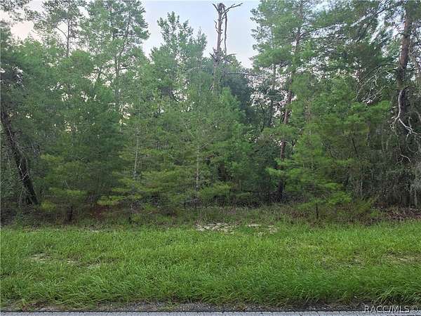 0.34 Acres of Residential Land for Sale in Homosassa, Florida