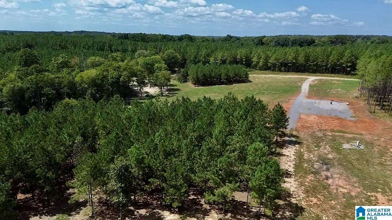 25 Acres of Land for Sale in Columbiana, Alabama