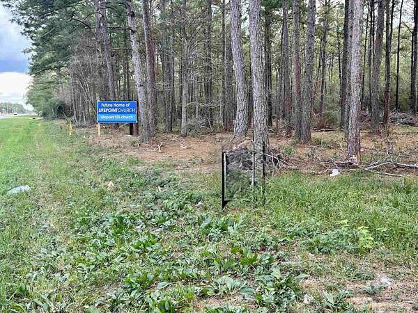 29.4 Acres of Land for Sale in Sour Lake, Texas