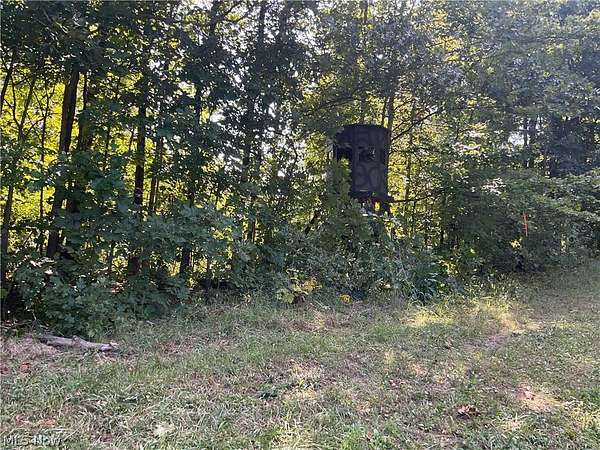 134 Acres of Recreational Land for Sale in Lewisville, Ohio