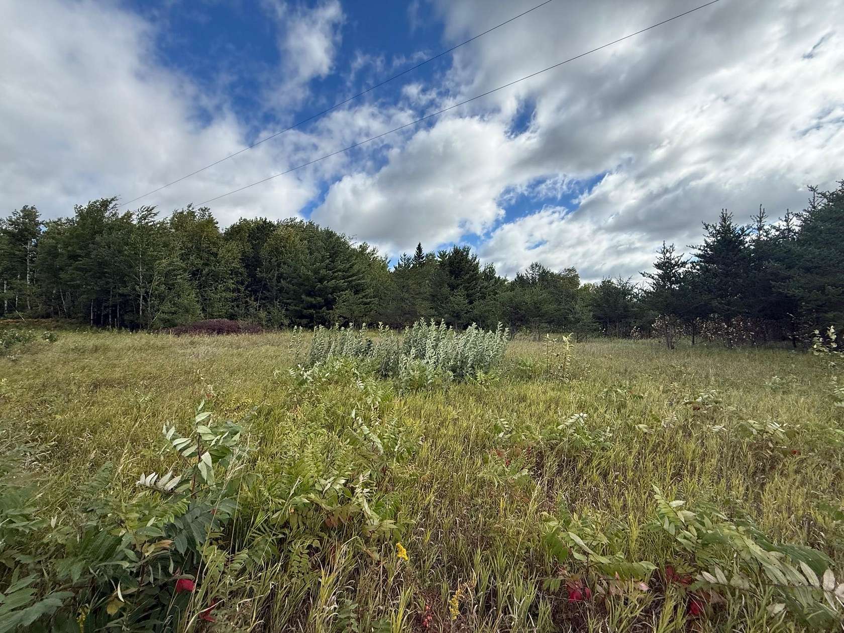 7.2 Acres of Residential Land for Sale in Bagley, Minnesota