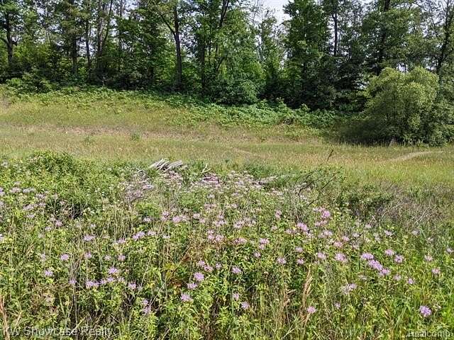 40 Acres of Recreational & Residential Land for Sale in Hayes Township, Michigan