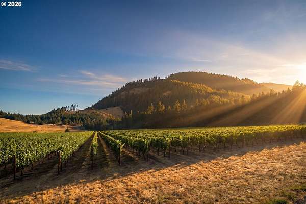 162 Acres of Agricultural Land for Sale in Eugene, Oregon