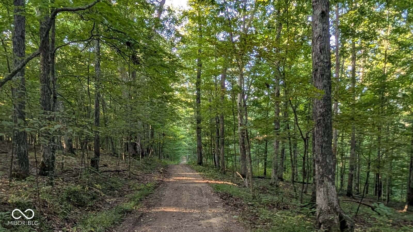 25 Acres of Land for Sale in Nashville, Indiana