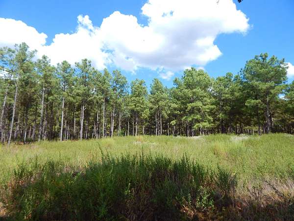 10 Acres of Land for Sale in Big Sandy, Texas