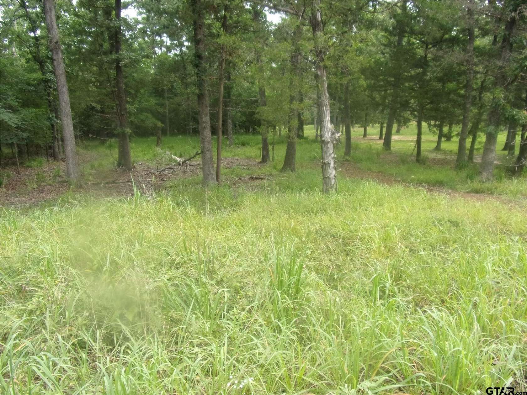 0.2 Acres of Residential Land for Sale in Murchison, Texas