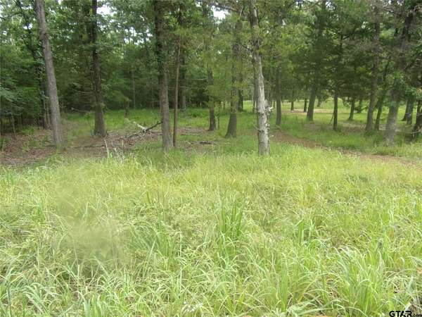0.2 Acres of Residential Land for Sale in Murchison, Texas