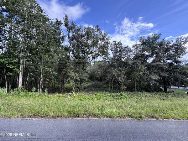 1 Acre of Residential Land for Sale in Middleburg, Florida