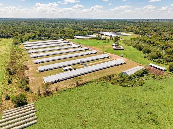 36 Acres of Agricultural Land for Sale in Alto, Texas