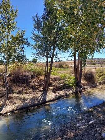0.92 Acres of Land for Sale in Mayfield, Utah