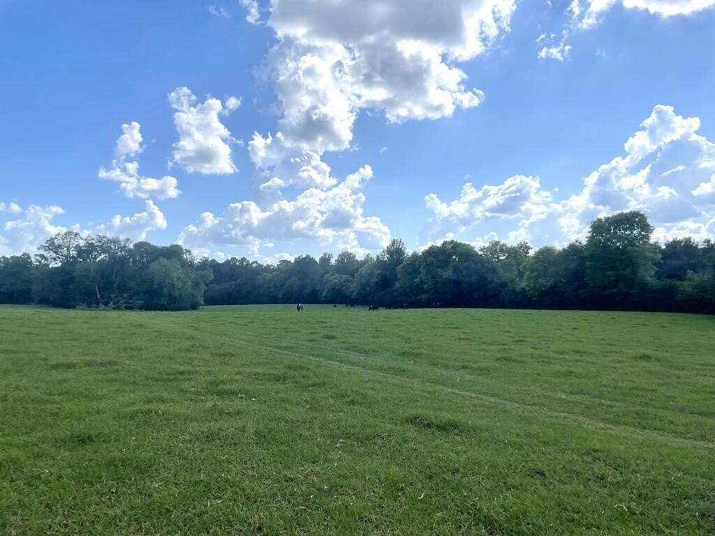 62.5 Acres of Recreational & Residential Land for Sale in Nacogdoches, Texas