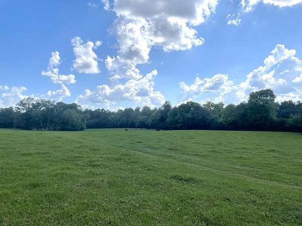 62.5 Acres of Recreational & Residential Land for Sale in Nacogdoches, Texas