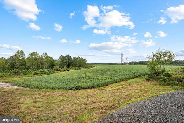 132 Acres of Land for Sale in Woodford, Virginia