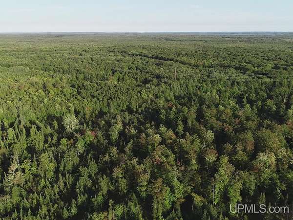 240 Acres of Recreational Land for Sale in Gulliver, Michigan