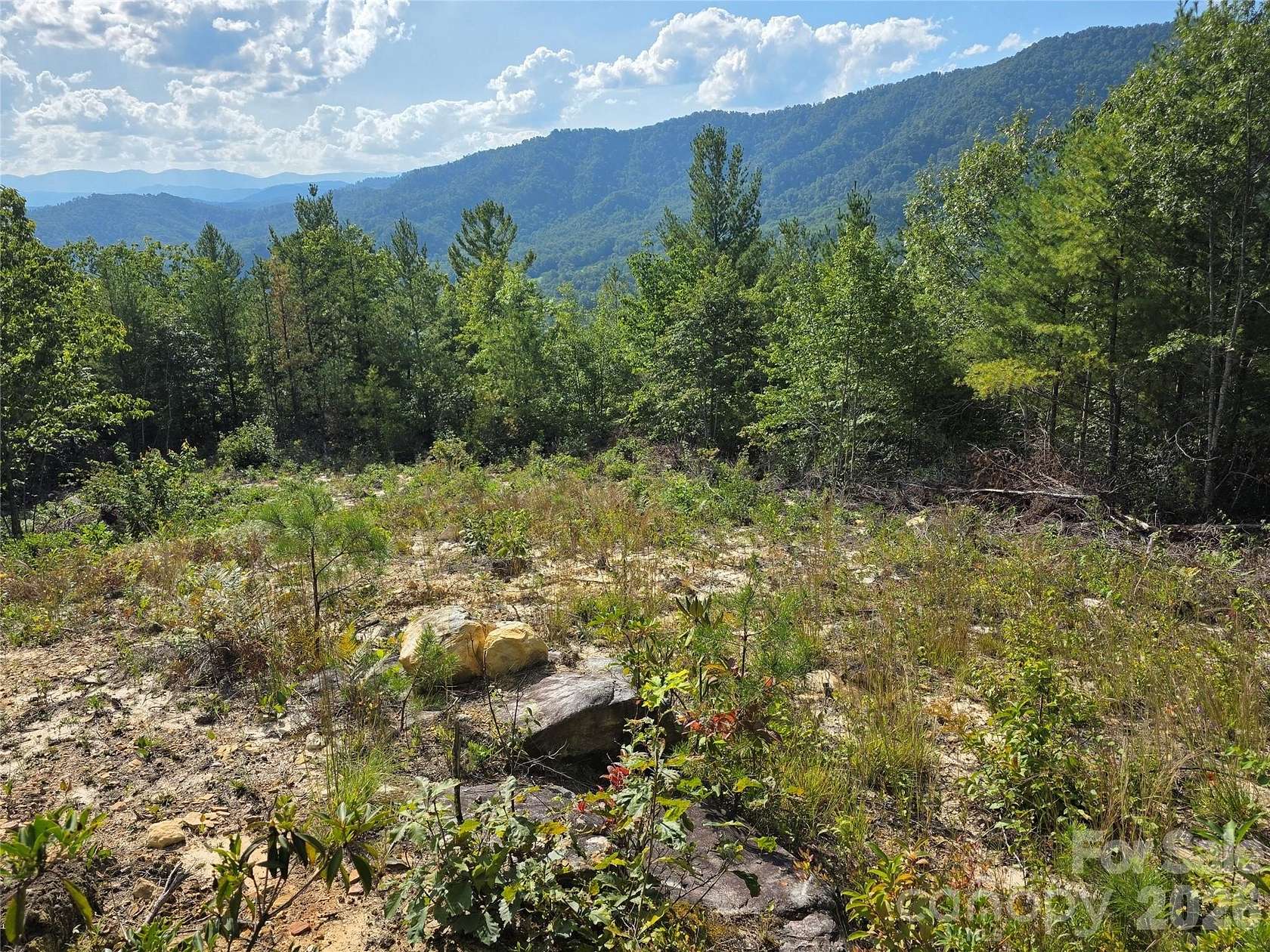 12 Acres of Recreational Land for Sale in Marion Township, North Carolina