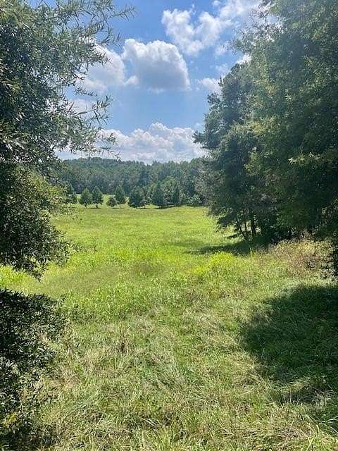 3 Acres of Residential Land for Sale in Clarkesville, Georgia